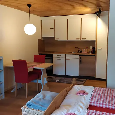 Apartamento Bühlmann *