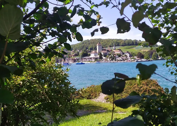 Buehlmann By Interhome Apartman Spiez